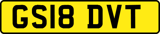 GS18DVT