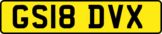 GS18DVX
