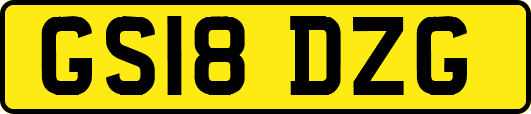 GS18DZG