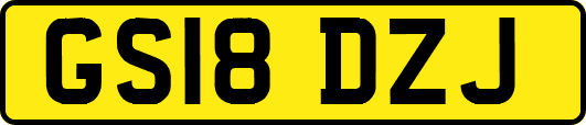 GS18DZJ