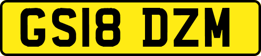GS18DZM