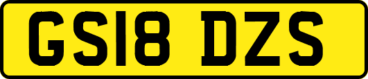 GS18DZS