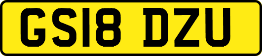 GS18DZU