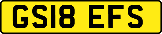GS18EFS