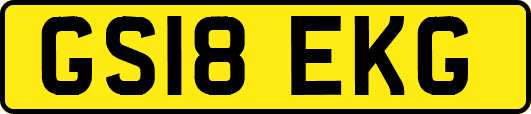 GS18EKG