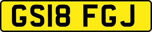 GS18FGJ