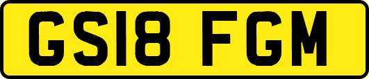 GS18FGM