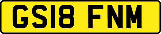 GS18FNM
