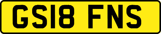 GS18FNS