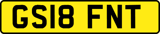 GS18FNT
