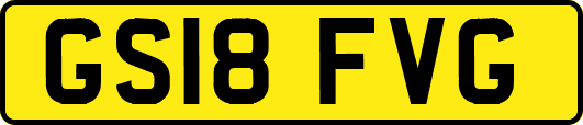 GS18FVG