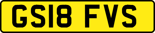 GS18FVS
