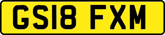 GS18FXM