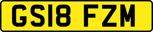 GS18FZM