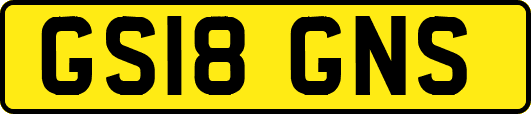 GS18GNS