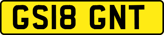 GS18GNT