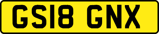 GS18GNX
