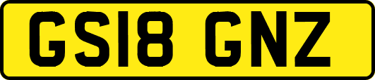 GS18GNZ