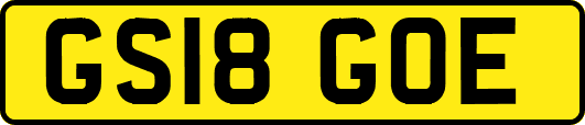 GS18GOE