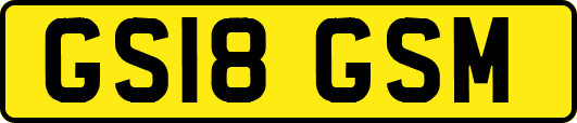 GS18GSM