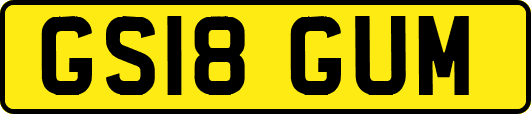 GS18GUM
