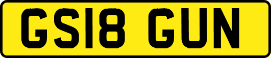 GS18GUN