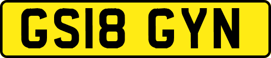 GS18GYN