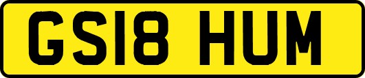 GS18HUM