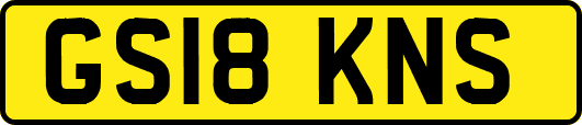 GS18KNS