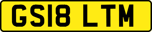 GS18LTM