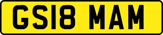 GS18MAM