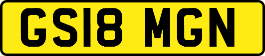 GS18MGN