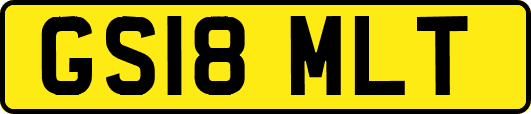 GS18MLT