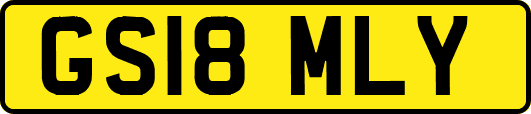 GS18MLY