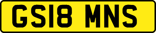 GS18MNS