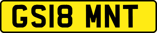 GS18MNT