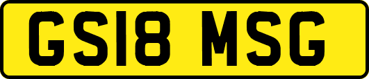 GS18MSG
