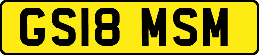 GS18MSM