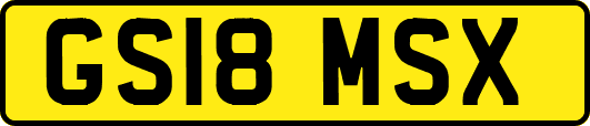 GS18MSX