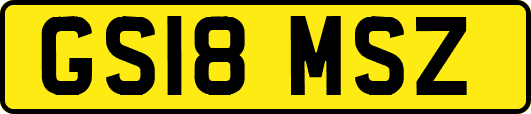 GS18MSZ
