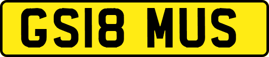 GS18MUS