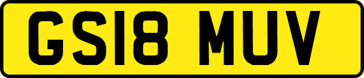 GS18MUV