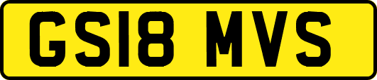 GS18MVS
