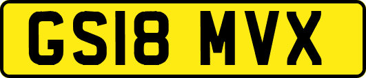 GS18MVX