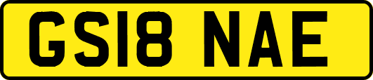GS18NAE