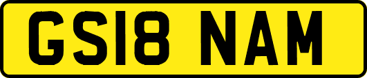 GS18NAM