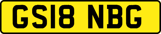 GS18NBG