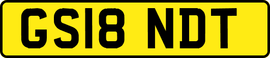 GS18NDT