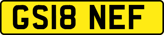 GS18NEF