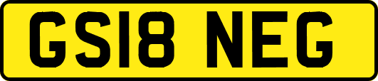 GS18NEG